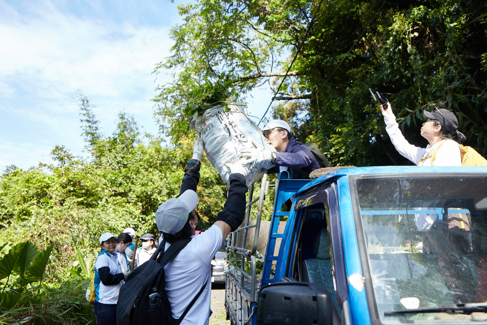 友達串聯志工組成水環境巡守隊，針對霄裡溪沿岸3公里的小花蔓澤蘭，定期進行移除與防治工作